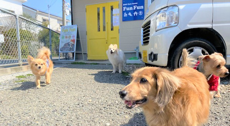 【大阪府箕面市】新卒＆正社員募集！！飼い主様が安心して愛犬を預けられるお店「Dog care house Fun Fun」